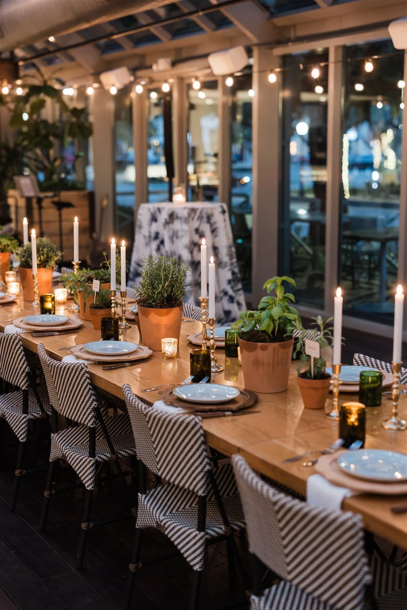 S + C- Rehearsal Dinner Sixty Vines — Haute Floral - Luxury